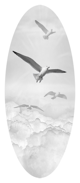 Journey Home Clouds Birds White